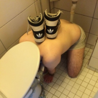 tonto