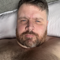 Fin_bear_dom