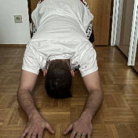 AustrianSlave
