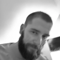 bearsir