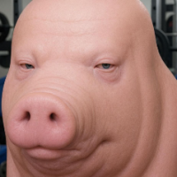 TVhomofag