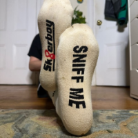 paypig_X