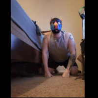 Paypigfag