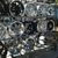 horted22