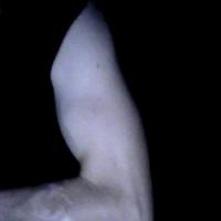 slave4cam85