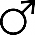 gaystud