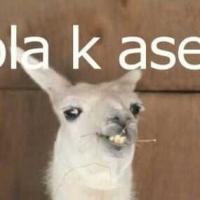Mexfootslave