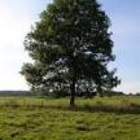 Apersonhere
