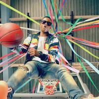 Deniminsect