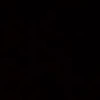 Kami