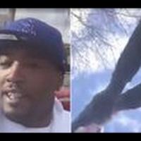 homeworkslave