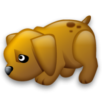 Obey100