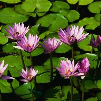 Andy77sub1