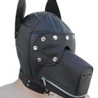 masterwdslave2015