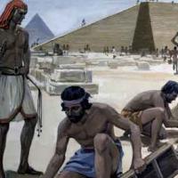 Shar