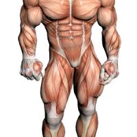 bitchboy4muscle