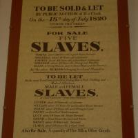 booklet