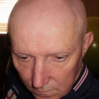 pig88