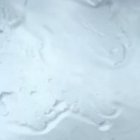 kuda