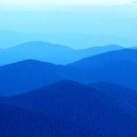 rahul