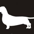 wienrdog