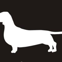 wienrdog