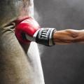 punchcash