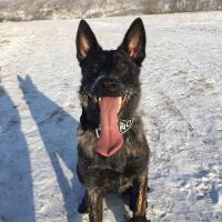 sub1069
