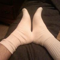 hardyoungitalian