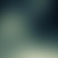 smallrob242