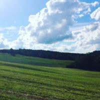 Matt