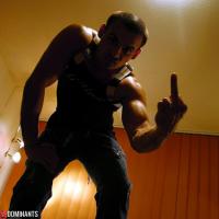 The Boxer