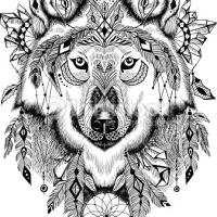 Lombardo73