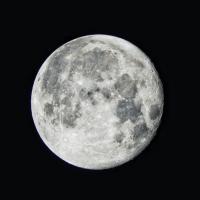 lostthomo