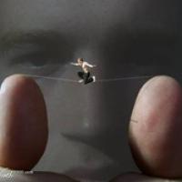 tinystrider
