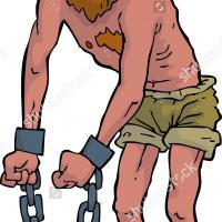 hawkfan