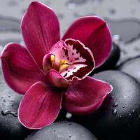 beno