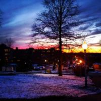 Toole