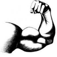 weak4muscle