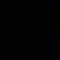 Gmoney115218