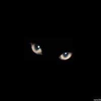 MEme