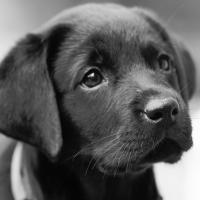 jimm
