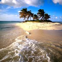 ambislave