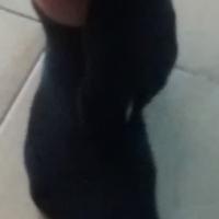 oscarosca