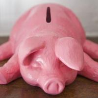 paypiggie01