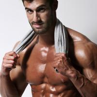 Gym Shark