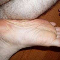Vansreef