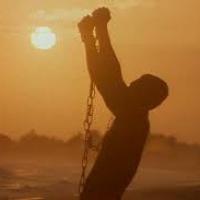 PghBeta93