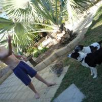 ashley