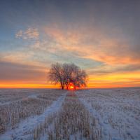 markallen
